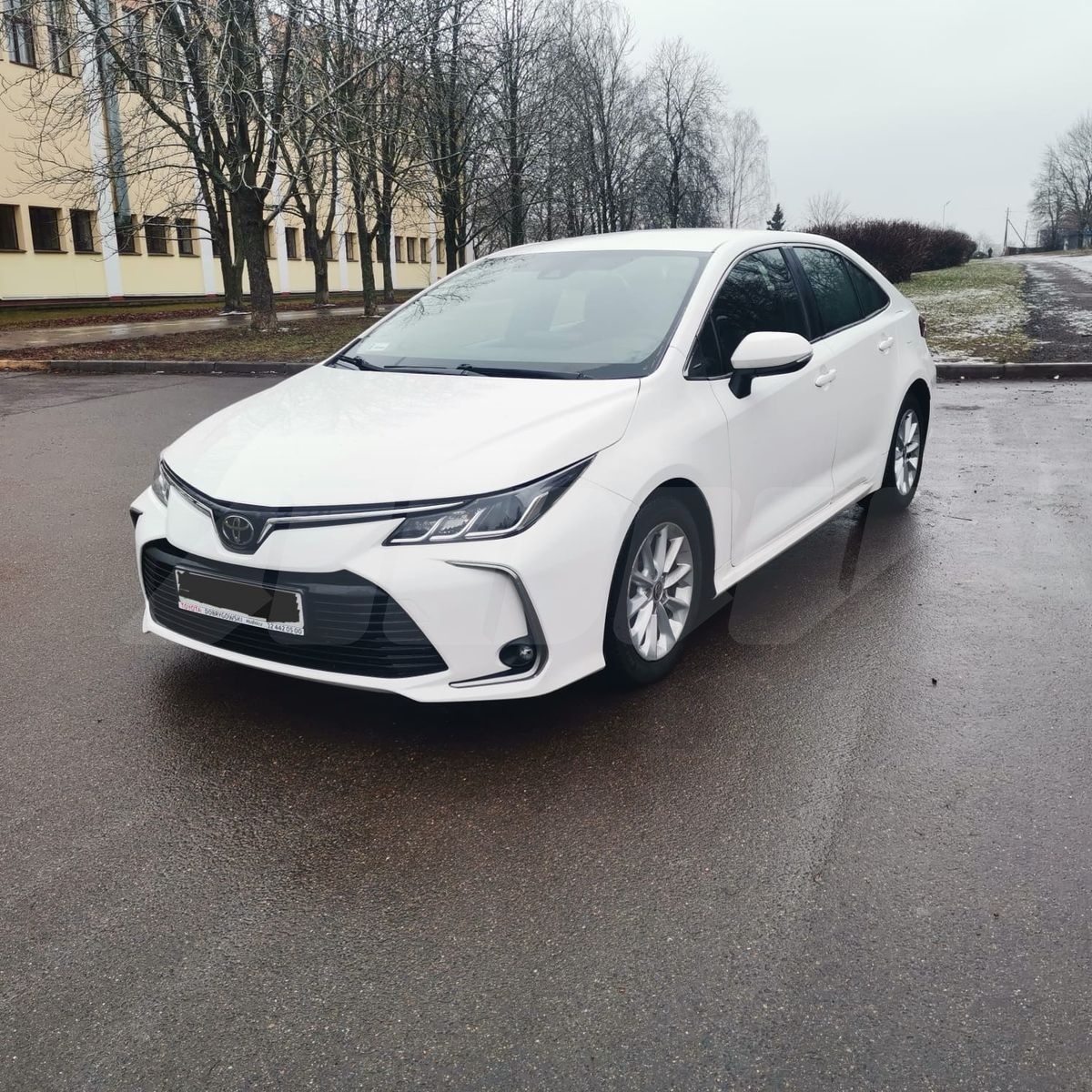 Toyota Corolla XII (E210), 2020
