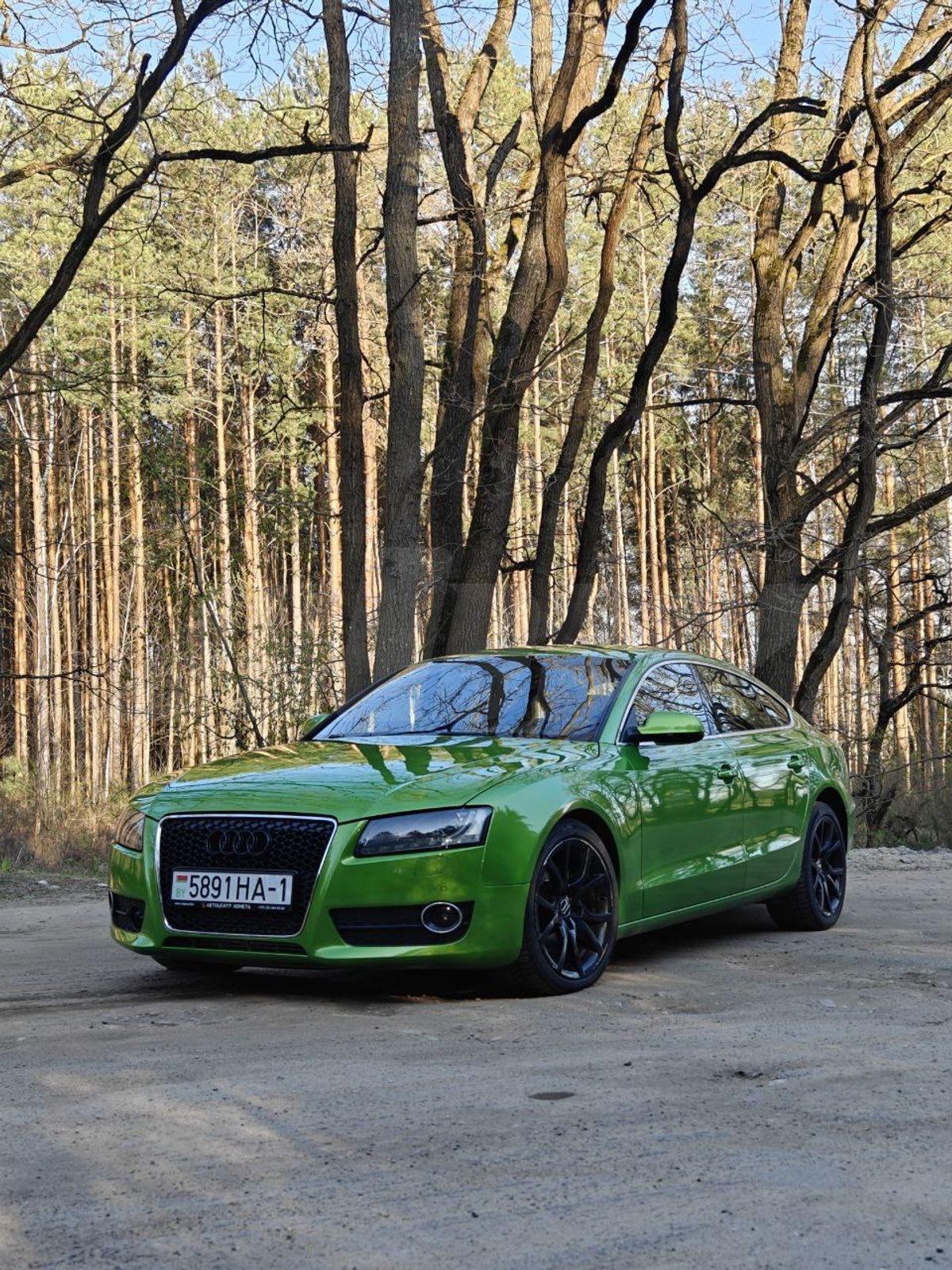 Audi A5 I (8T), 2011