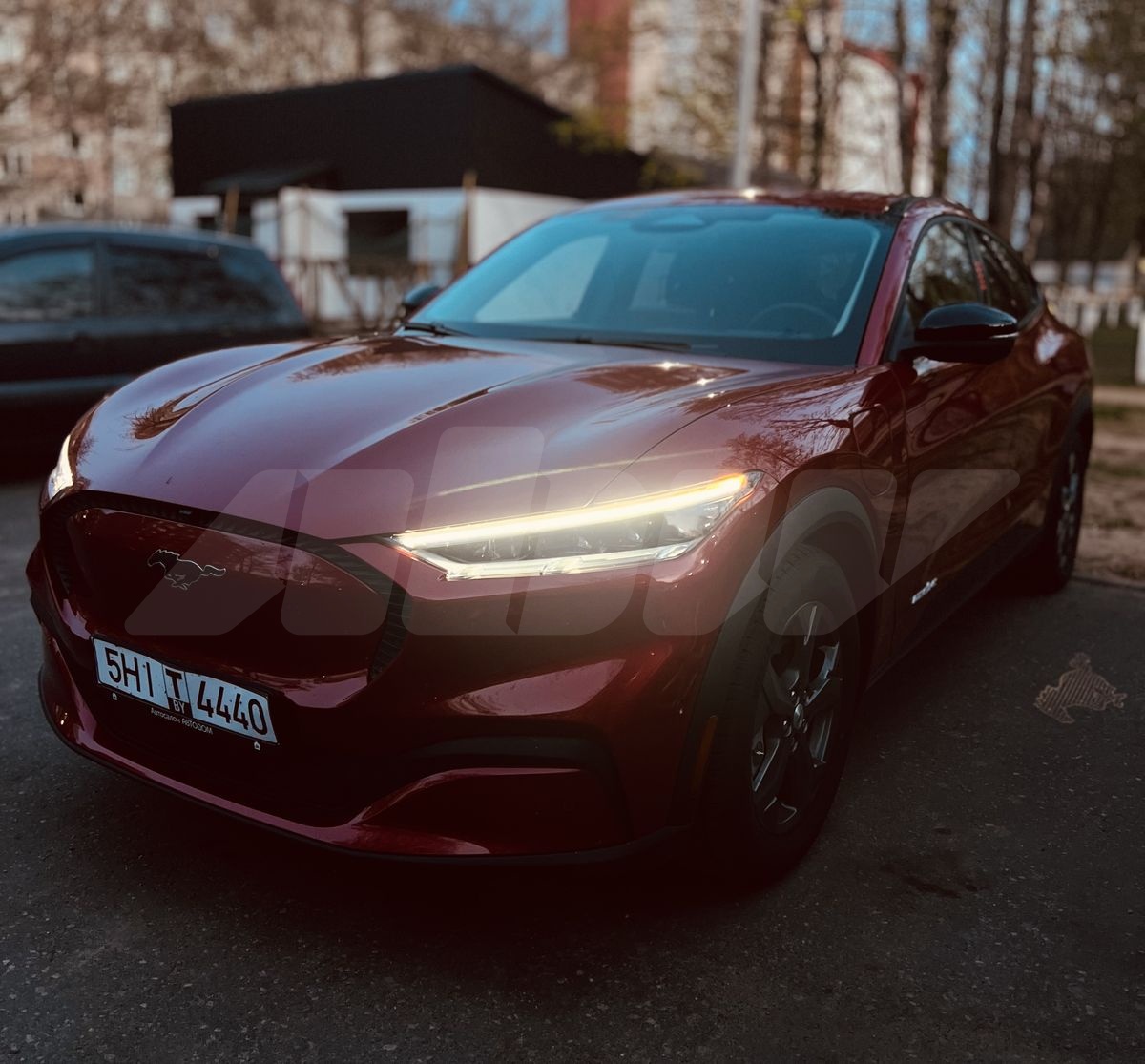 Подбор и доставка Ford Mustang Mach-E (Форд Мустанг Мач-Е)