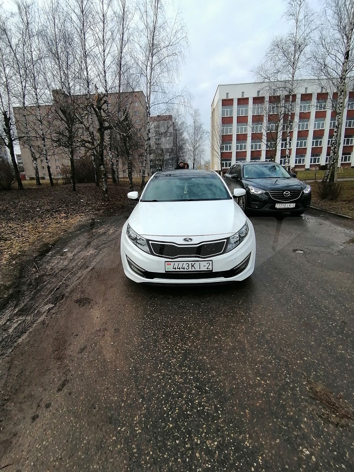 Подбор и доставка Kia Optima (Киа Оптима)