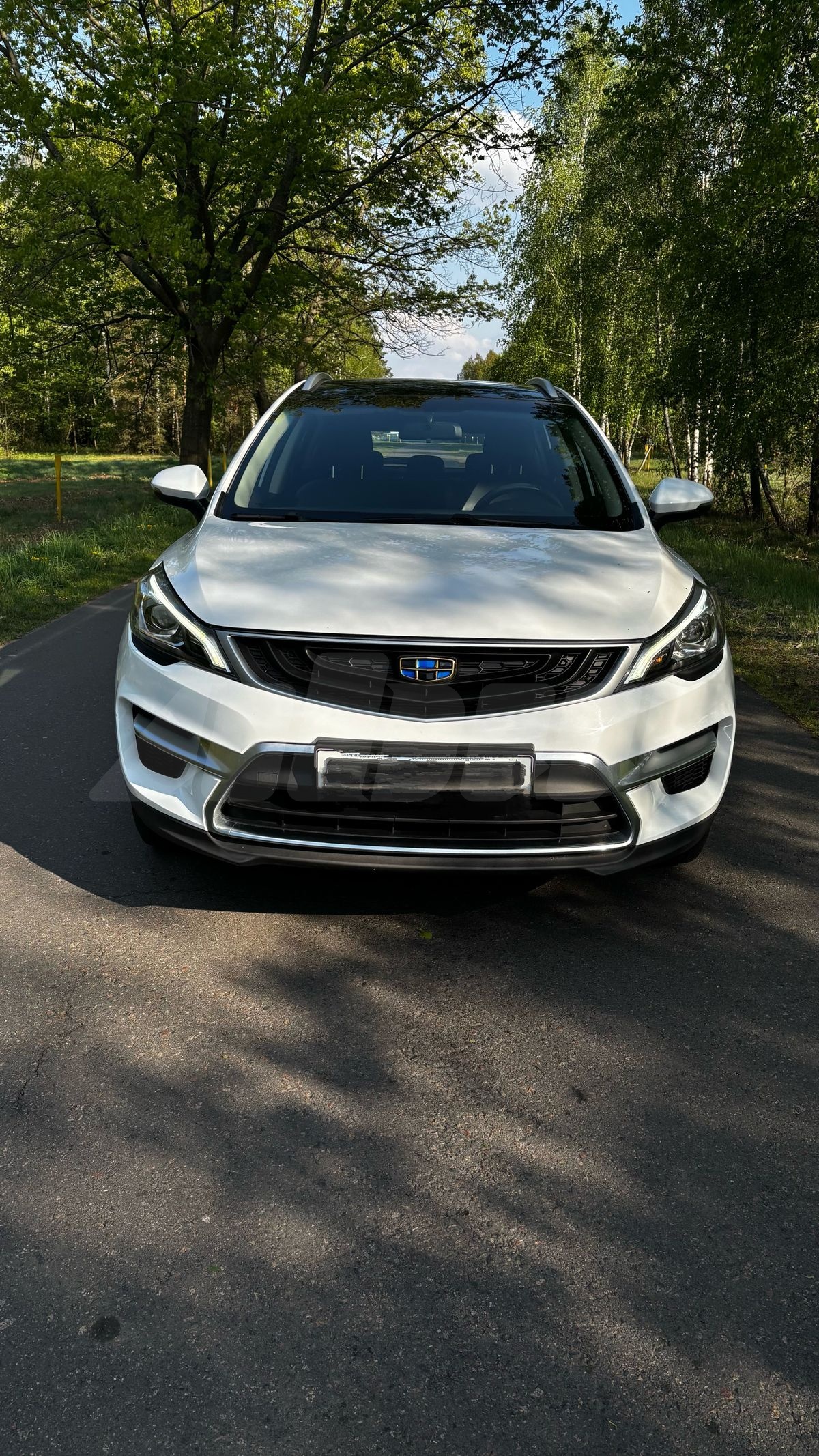 Подбор и доставка Geely GS (Джили ГС)