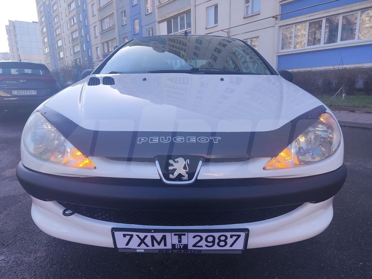 Peugeot 206 I, 2003