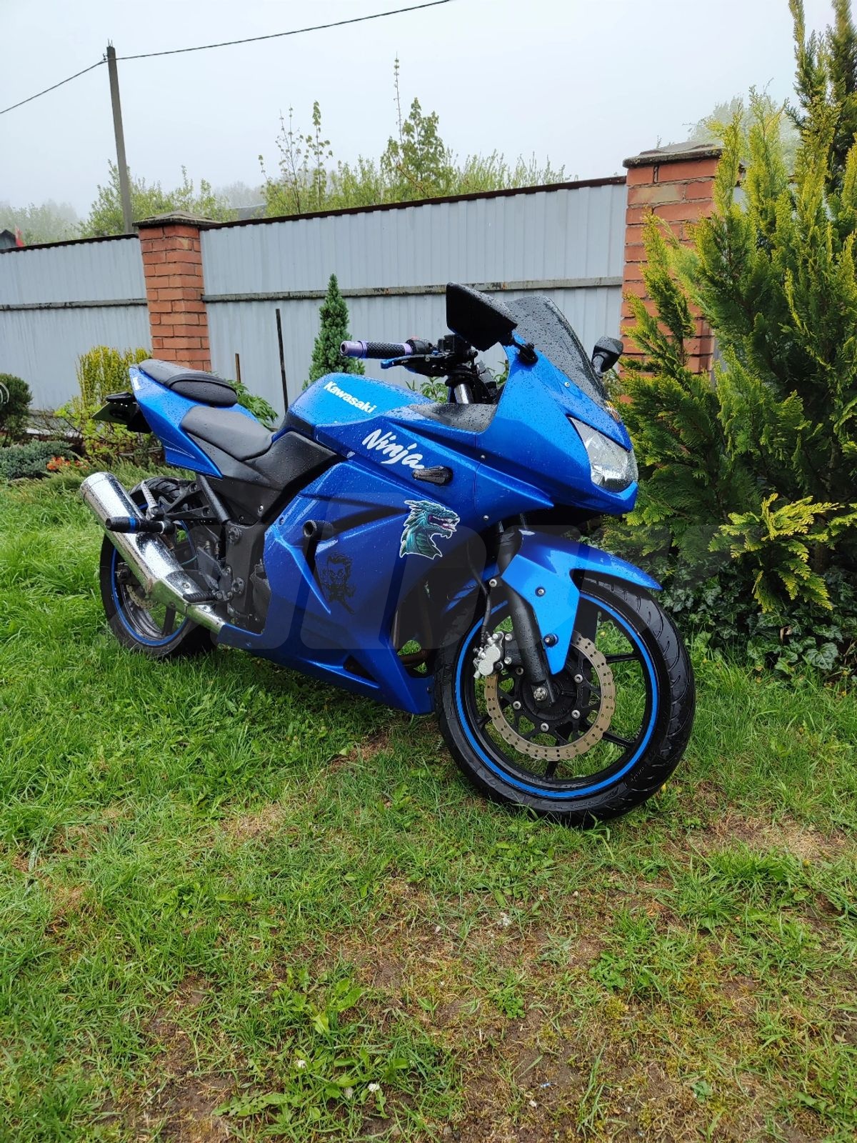 Kawasaki Ninja 250R, 2008