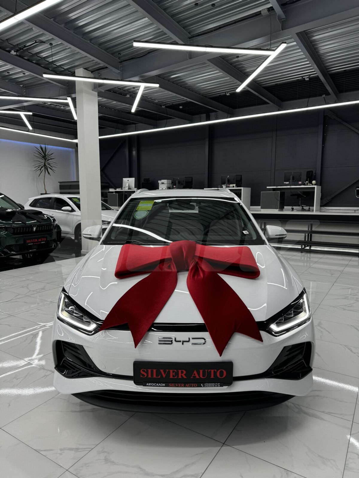 BYD E2 2025,