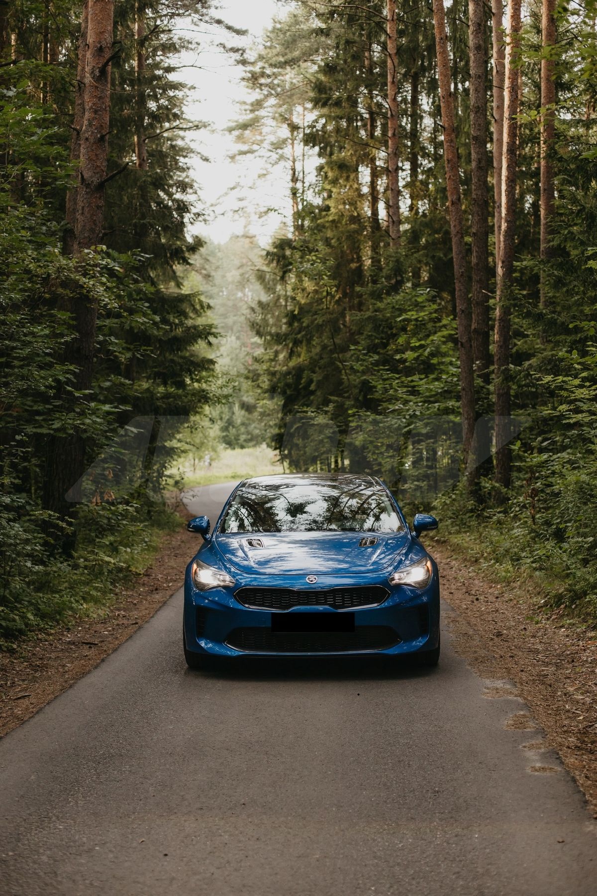 Kia Stinger I, 2018