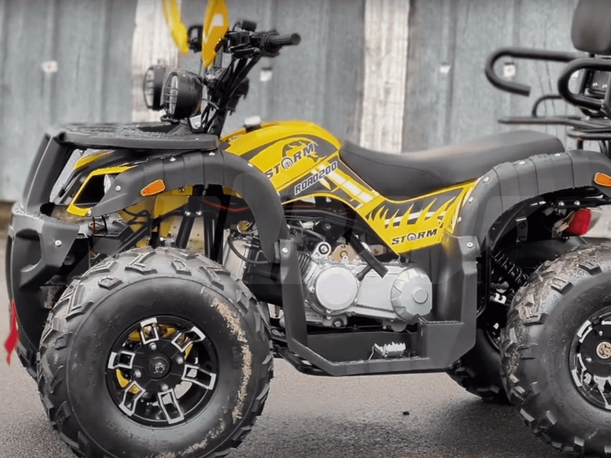 утилитарный Storm 200 Wild Track Lux, 2025