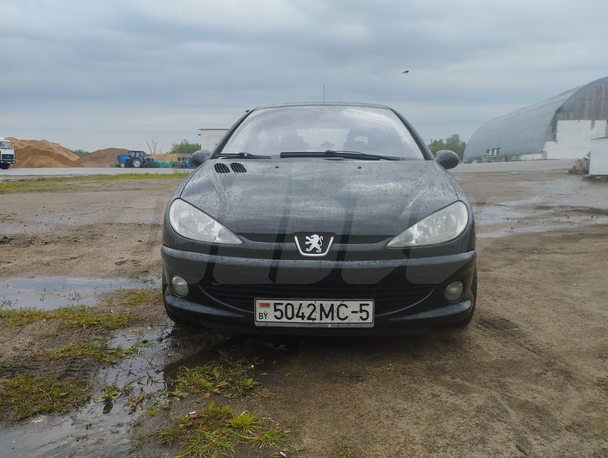 Peugeot 206 I, 2002