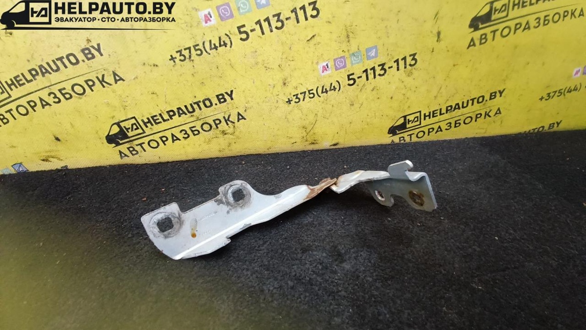 Петли к Renault Clio 2000
