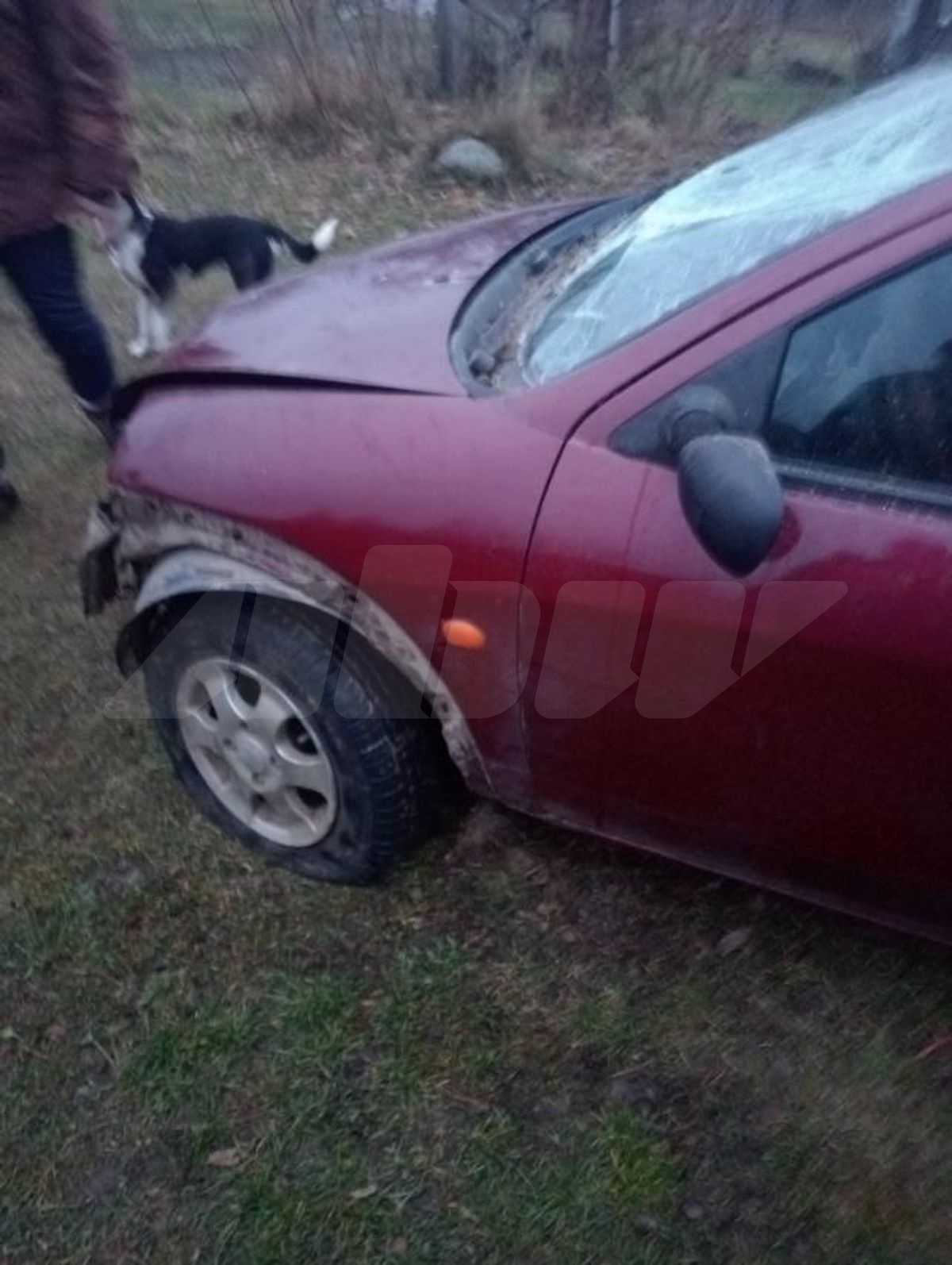 Ford KA I, 2001