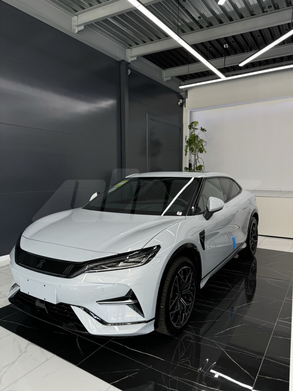 BYD Song L I, 2025
