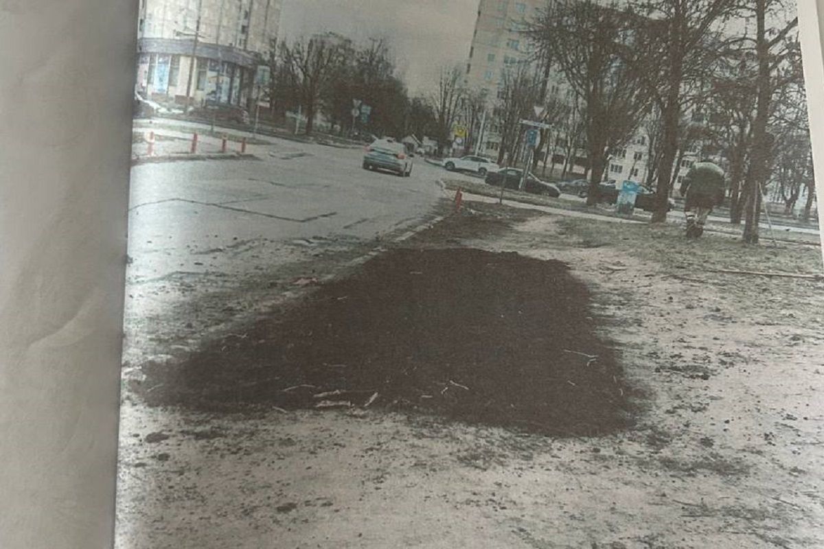 Припарковался на газоне и заплатил в 100-кратном размере: суд вынес решение, но вопросы остались