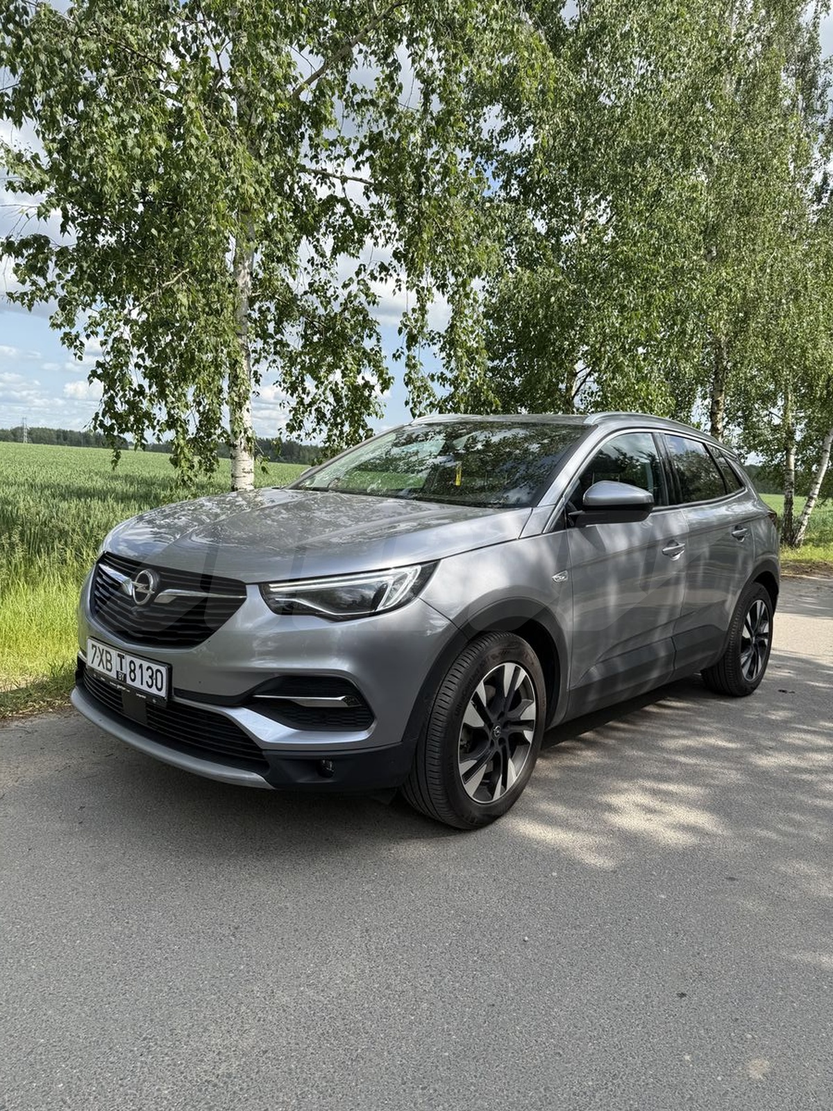 Opel Grandland X I, 2020