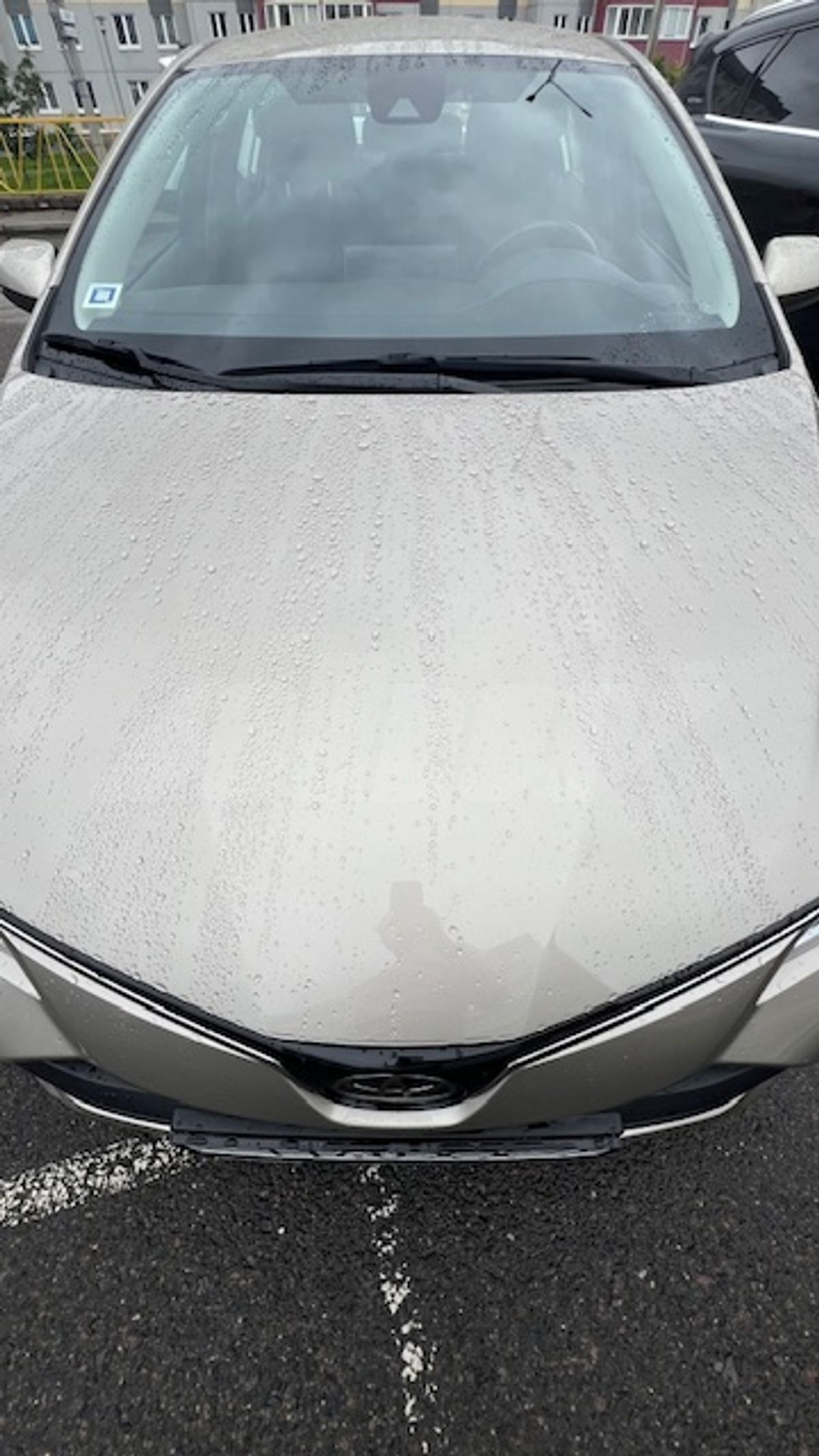 Toyota Corolla XII (E210), 2021
