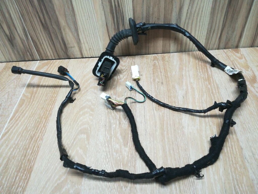Проводка двери к Mitsubishi Carisma 2000