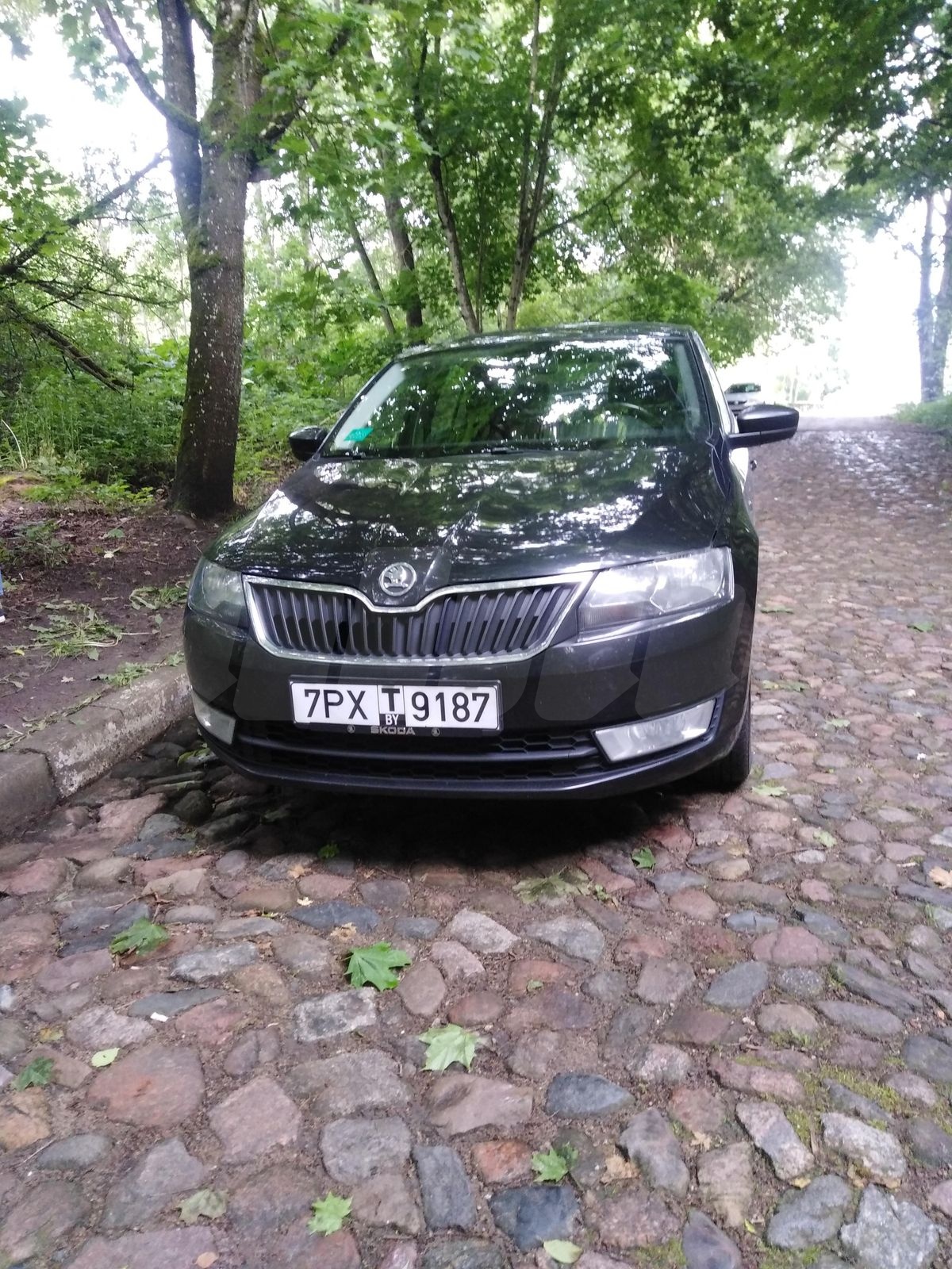 Skoda Rapid I, 2013