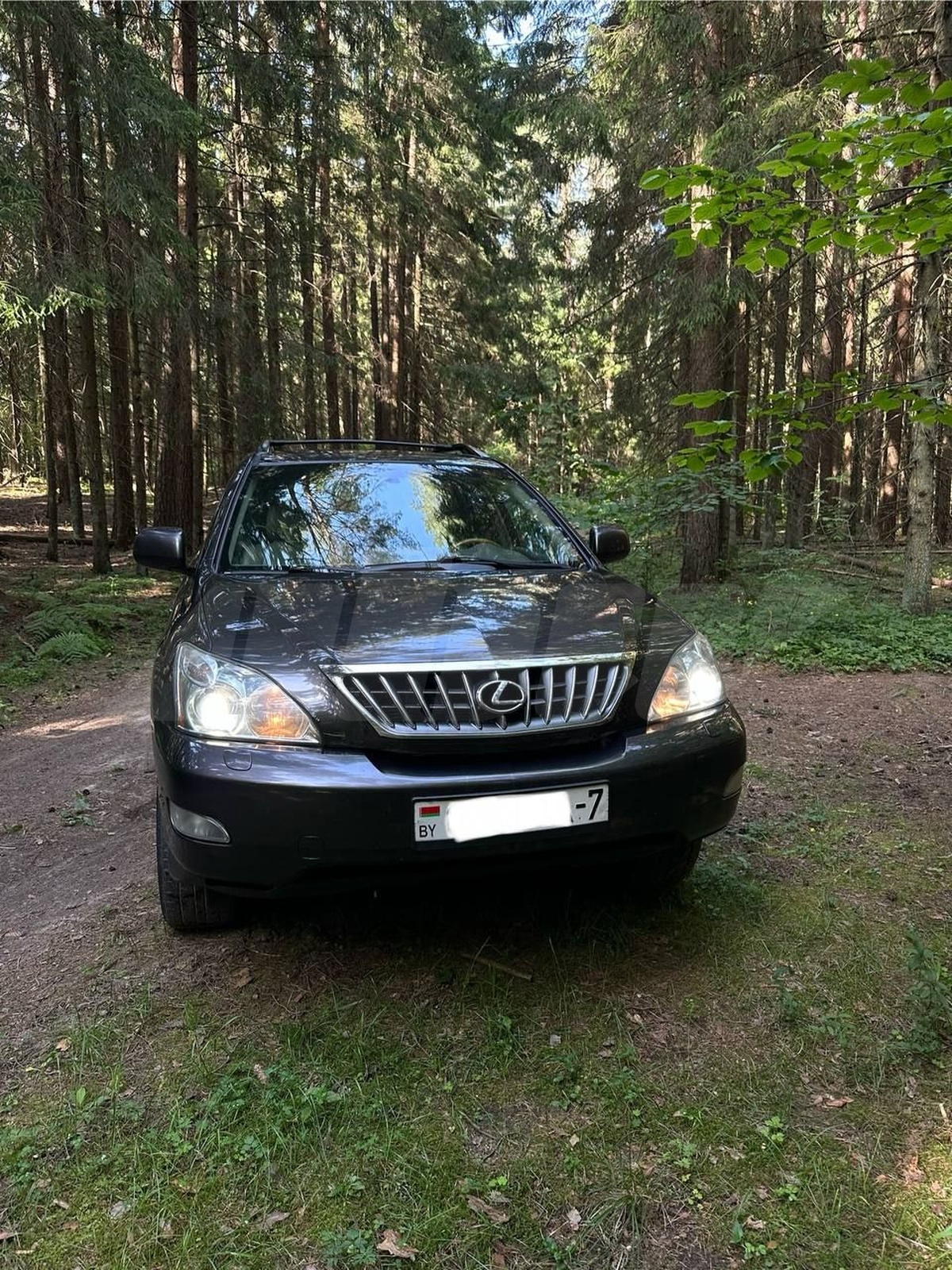 Lexus RX II Рестайлинг, 2008