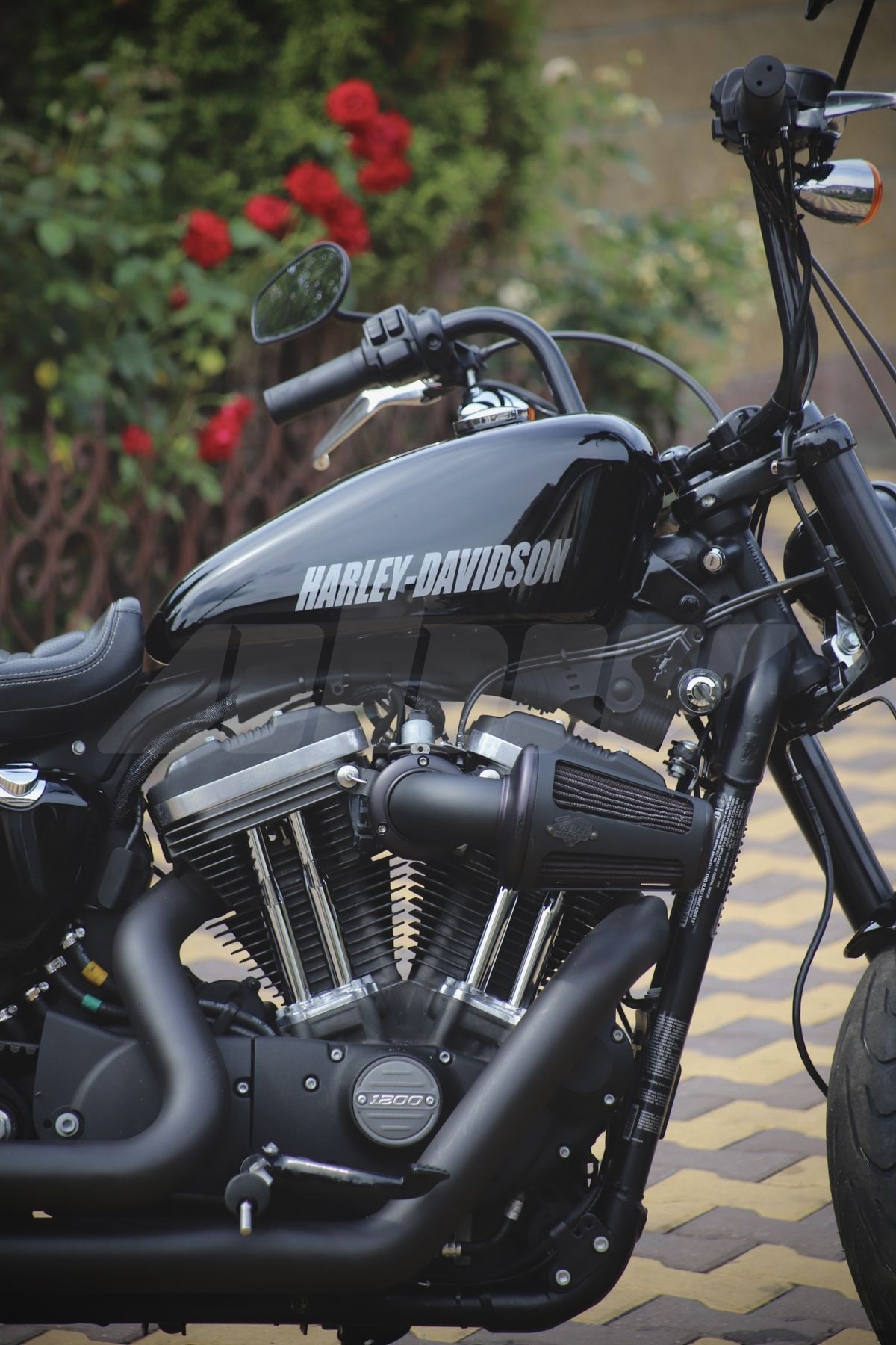 Harley-Davidson Sportster 1200, 2017