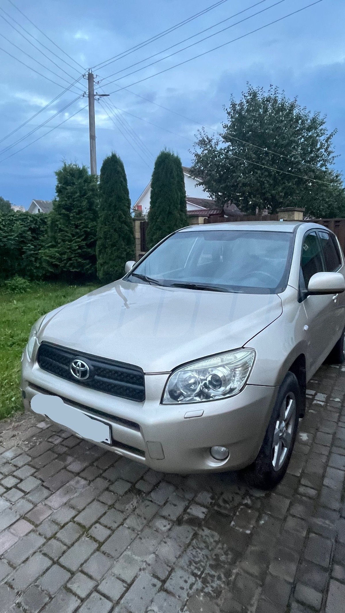Toyota RAV 4 III (XA30), 2008