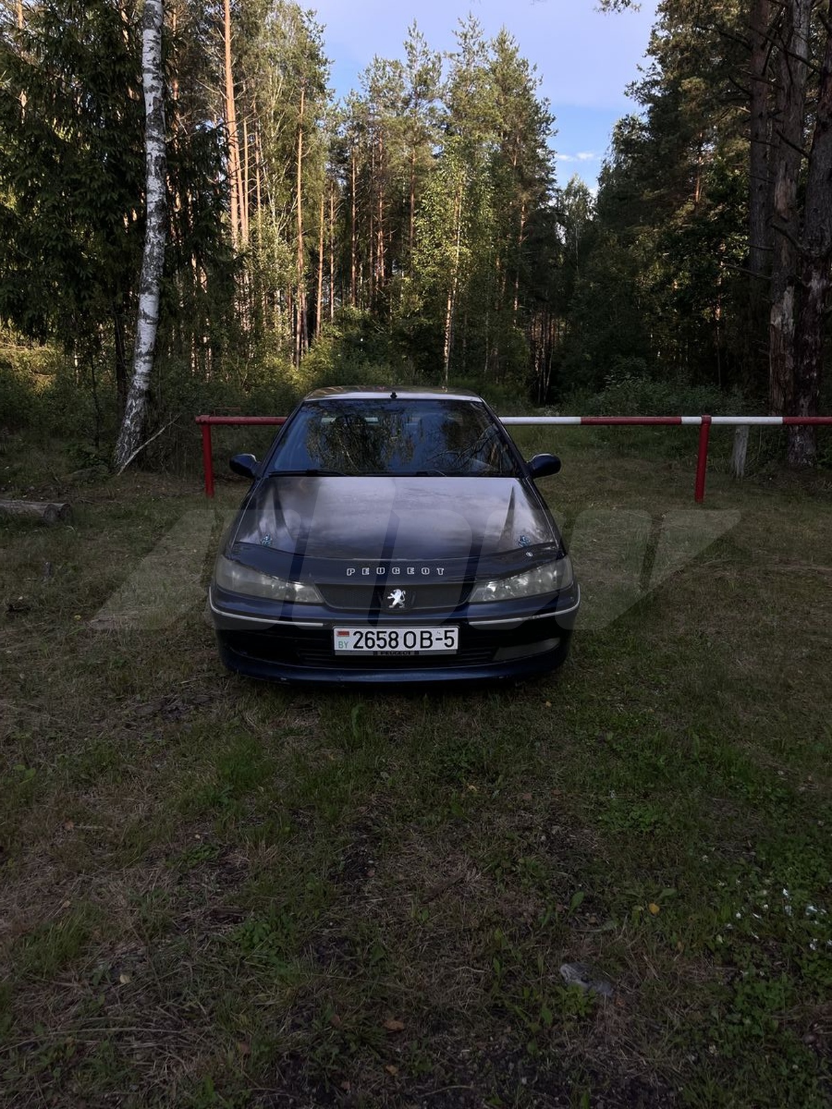 Peugeot 406 I Рестайлинг, 1999