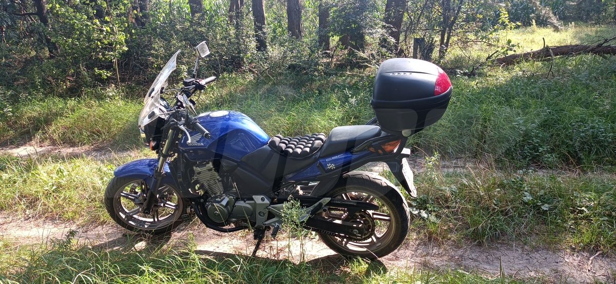 Honda CBF 500, 2005