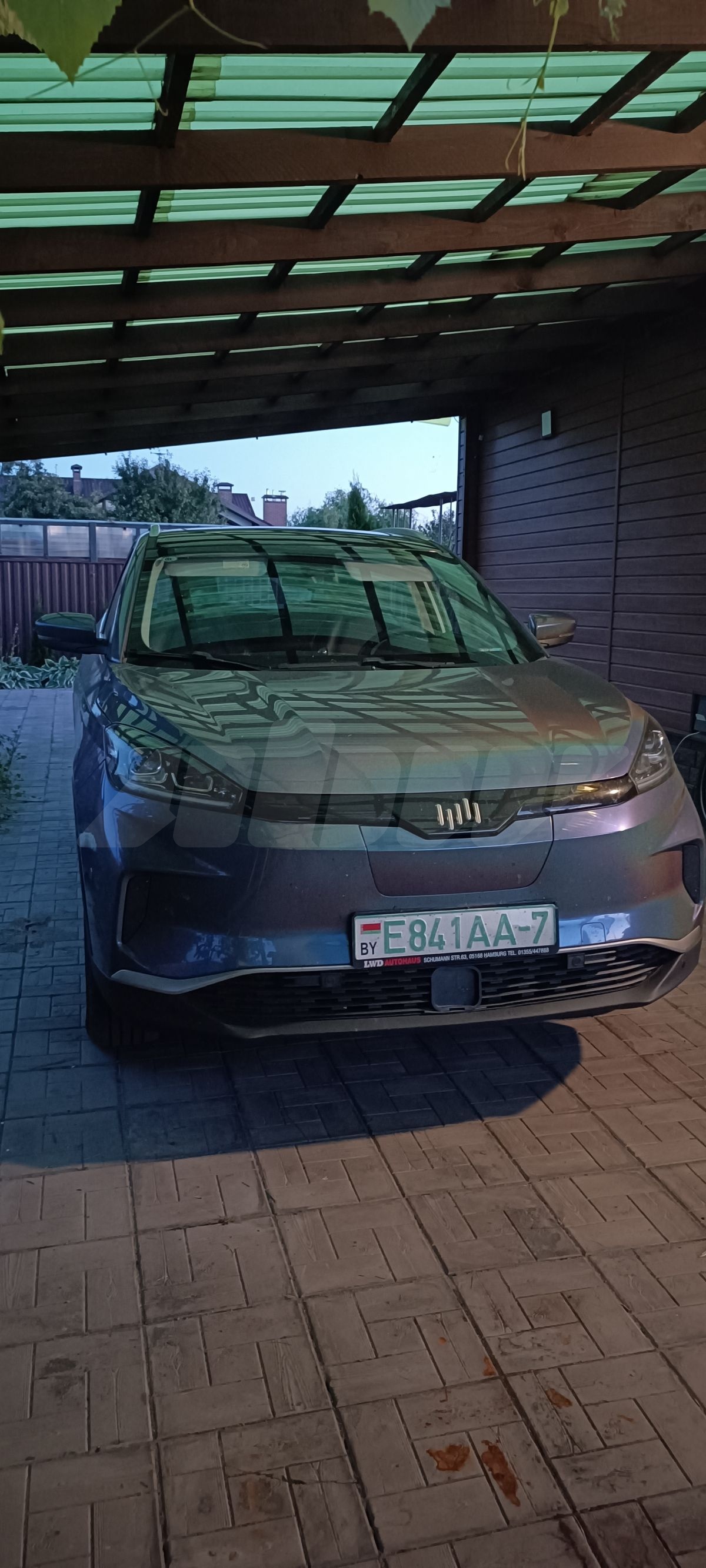 Weltmeister EX5 I, 2020