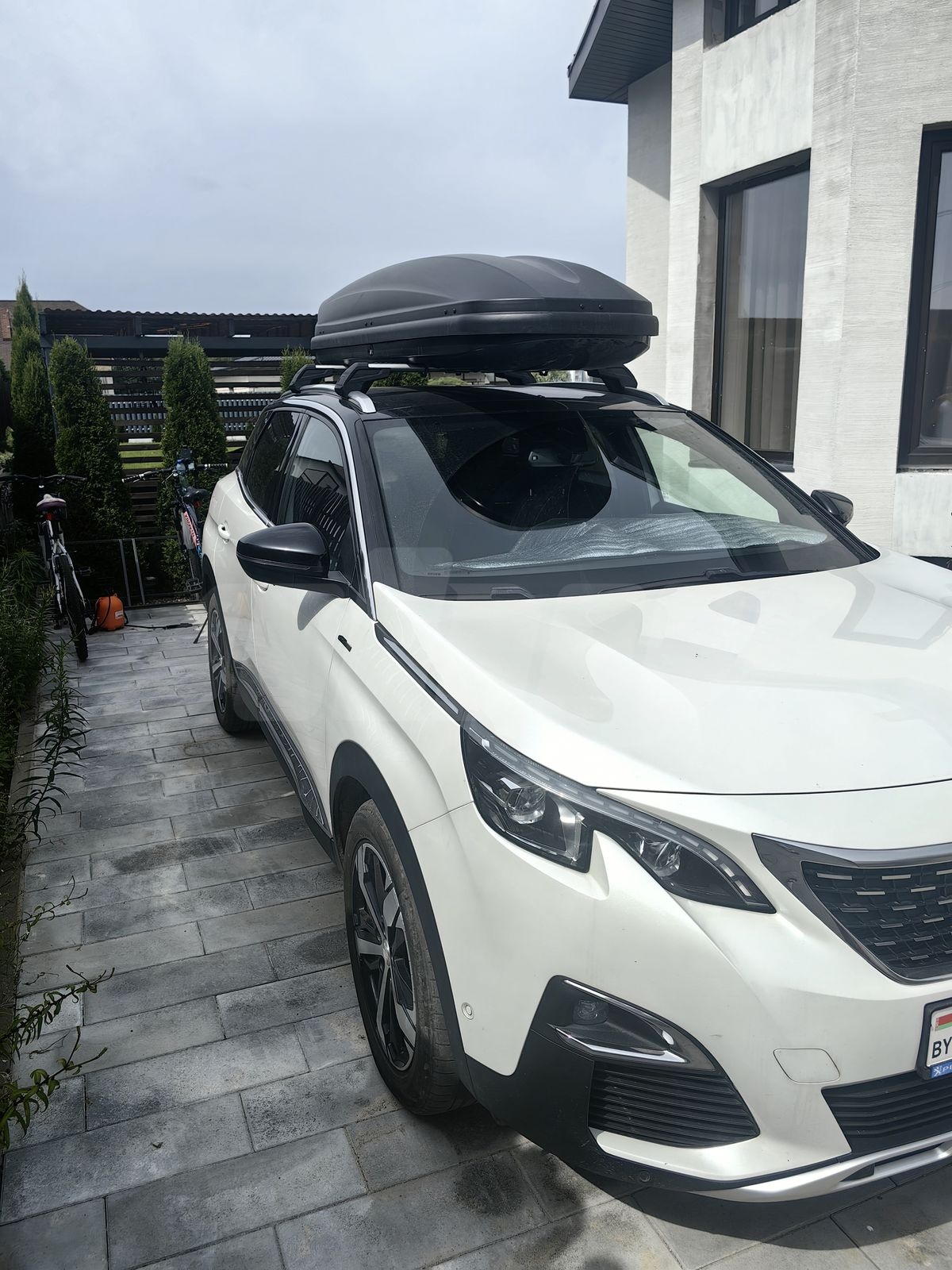 Peugeot 3008 II, 2019