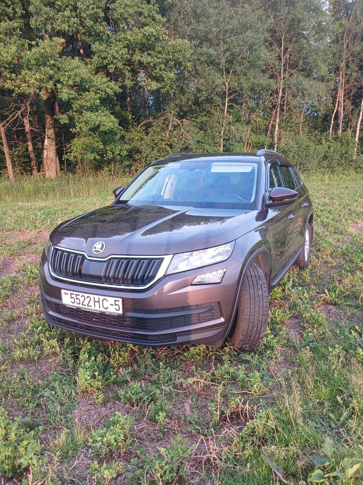Skoda Kodiaq I, 2019