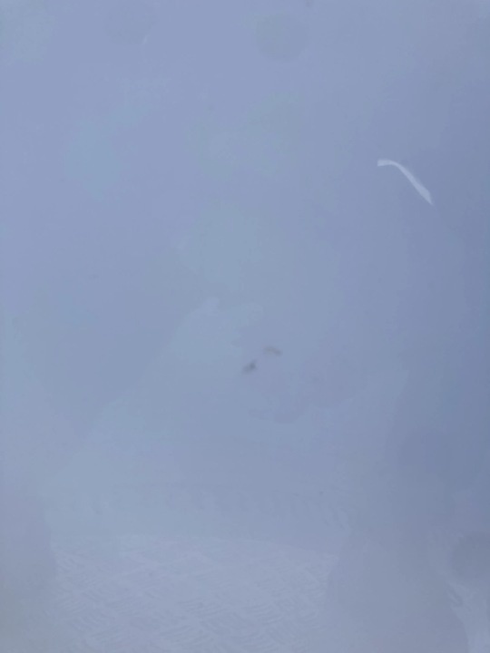 Капот к Ford Kuga 2013