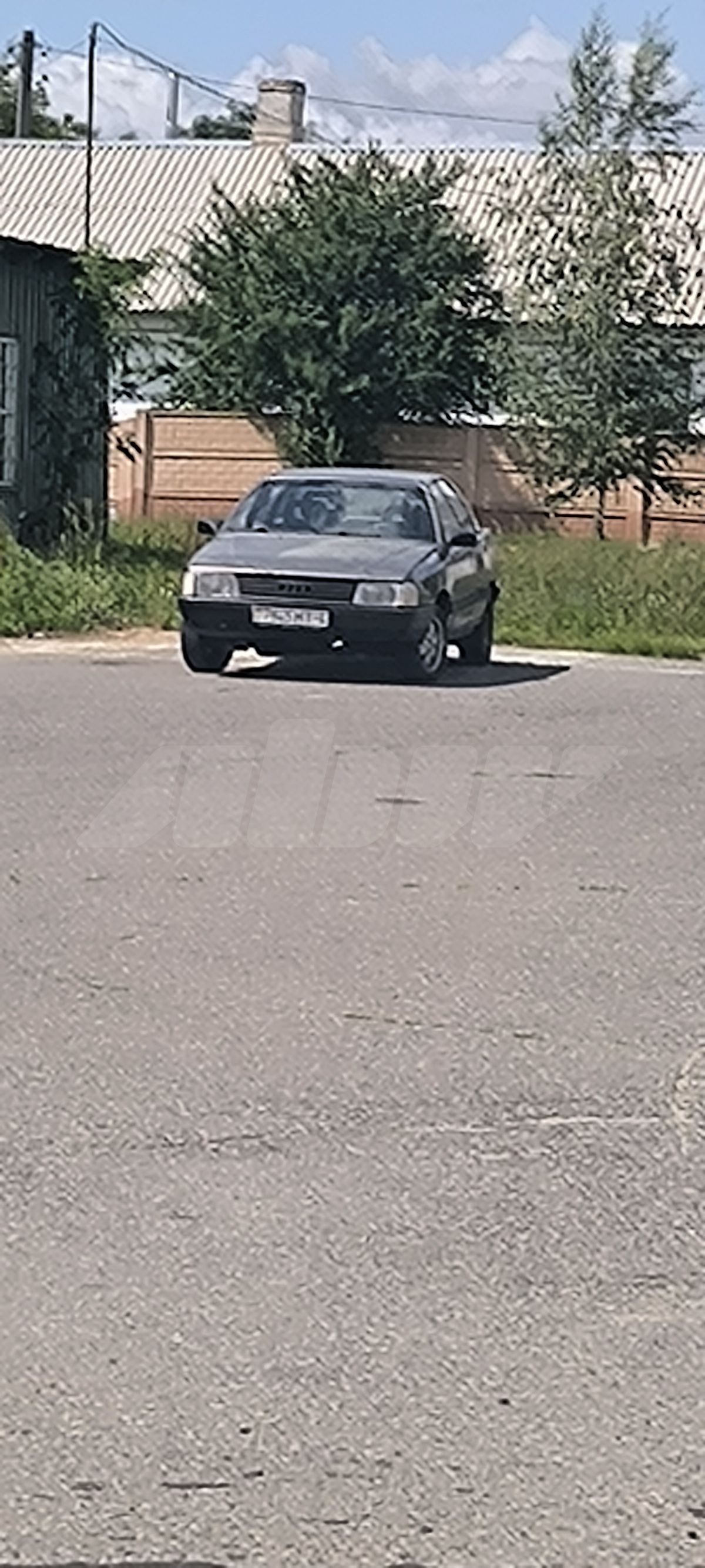 Audi 100 III (C3), 1984