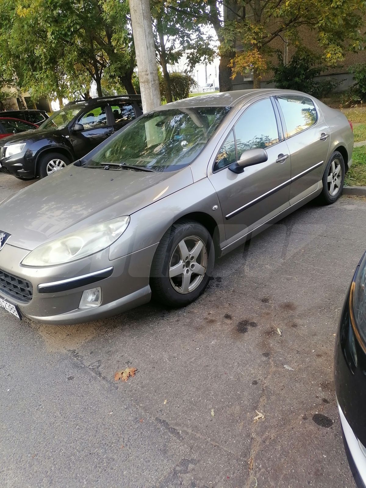 Peugeot 407 I, 2004