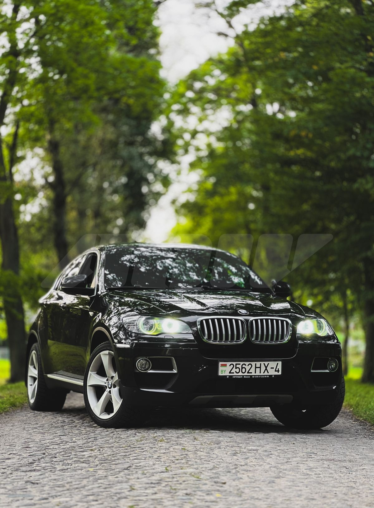 BMW X6 I (E71) Рестайлинг, 2012