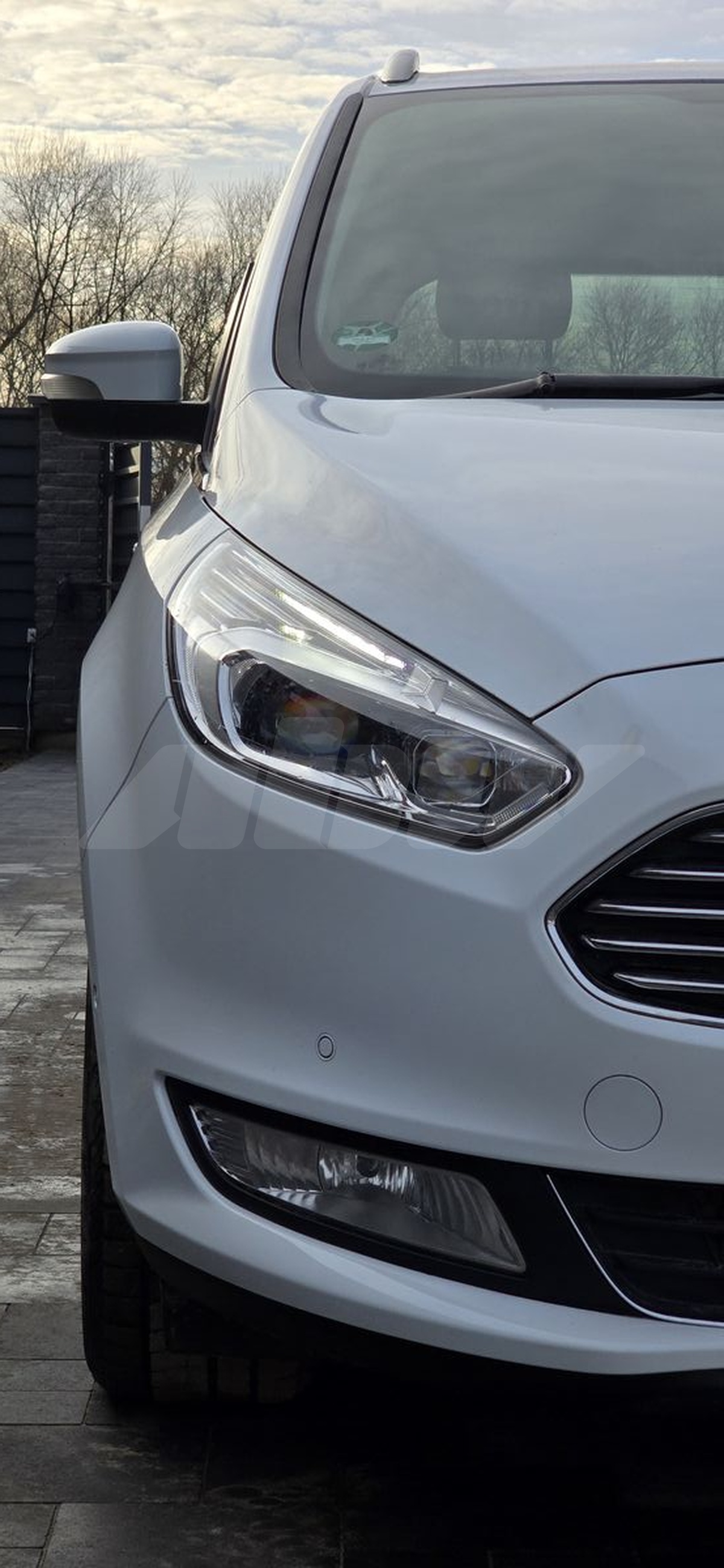 Ford Galaxy III, 2019