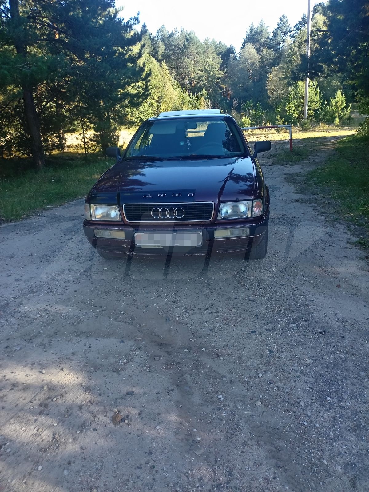 Audi 80 V (B4), 1993