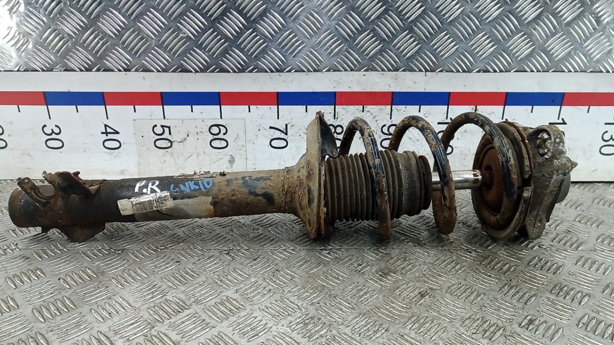 Пружина передняя к Fiat  2007