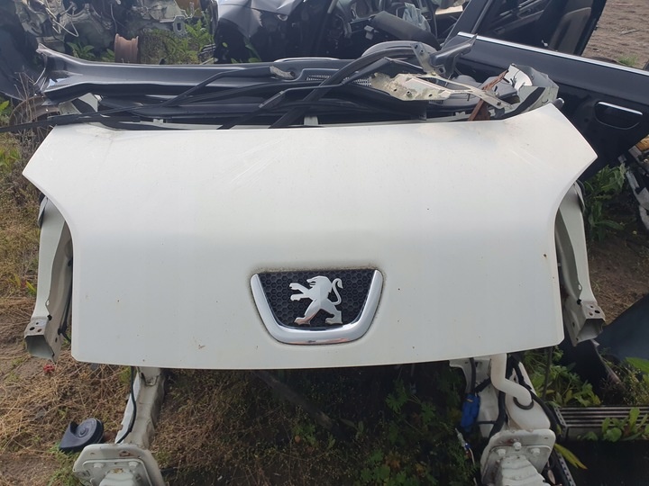 Капот к Peugeot Bipper 2008