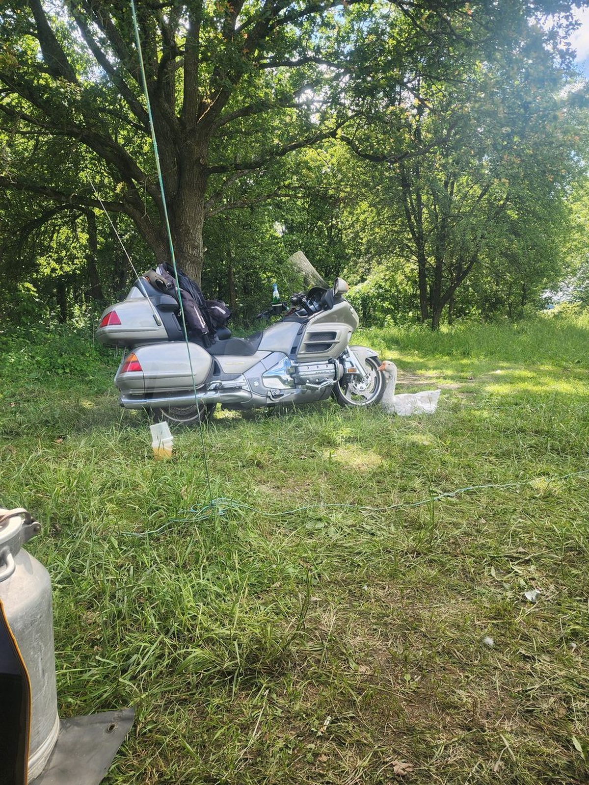 Honda GL 1800, 2003
