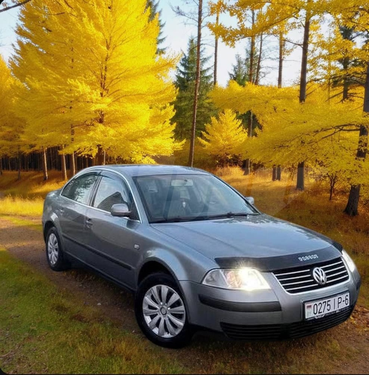 Volkswagen Passat B5 Рестайлинг, 2002