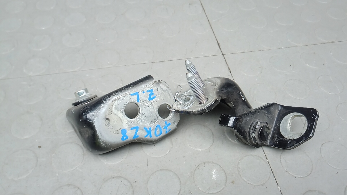 Петля двери задней левой к Ford EcoSport 2015