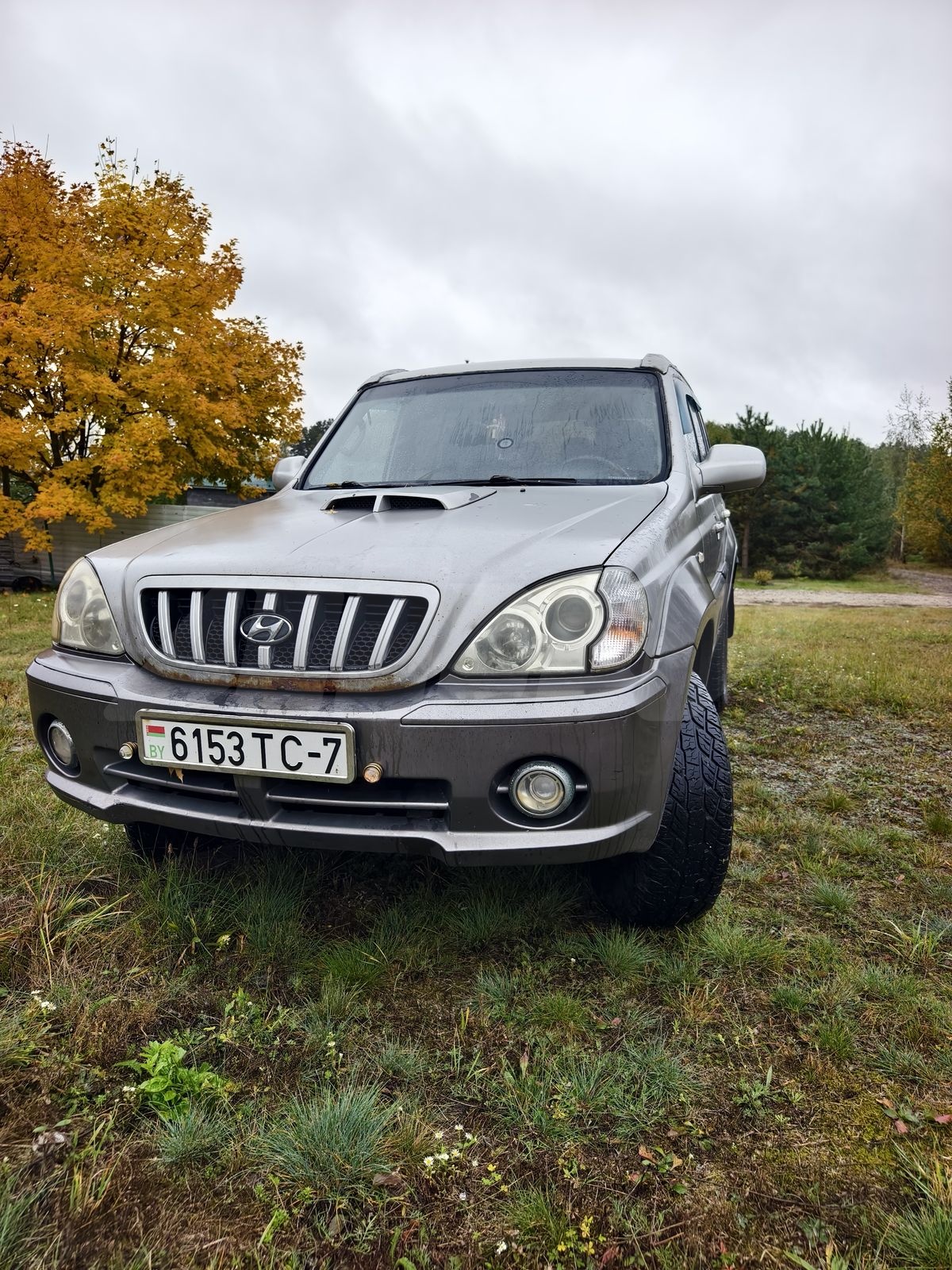 Hyundai Terracan I, 2003