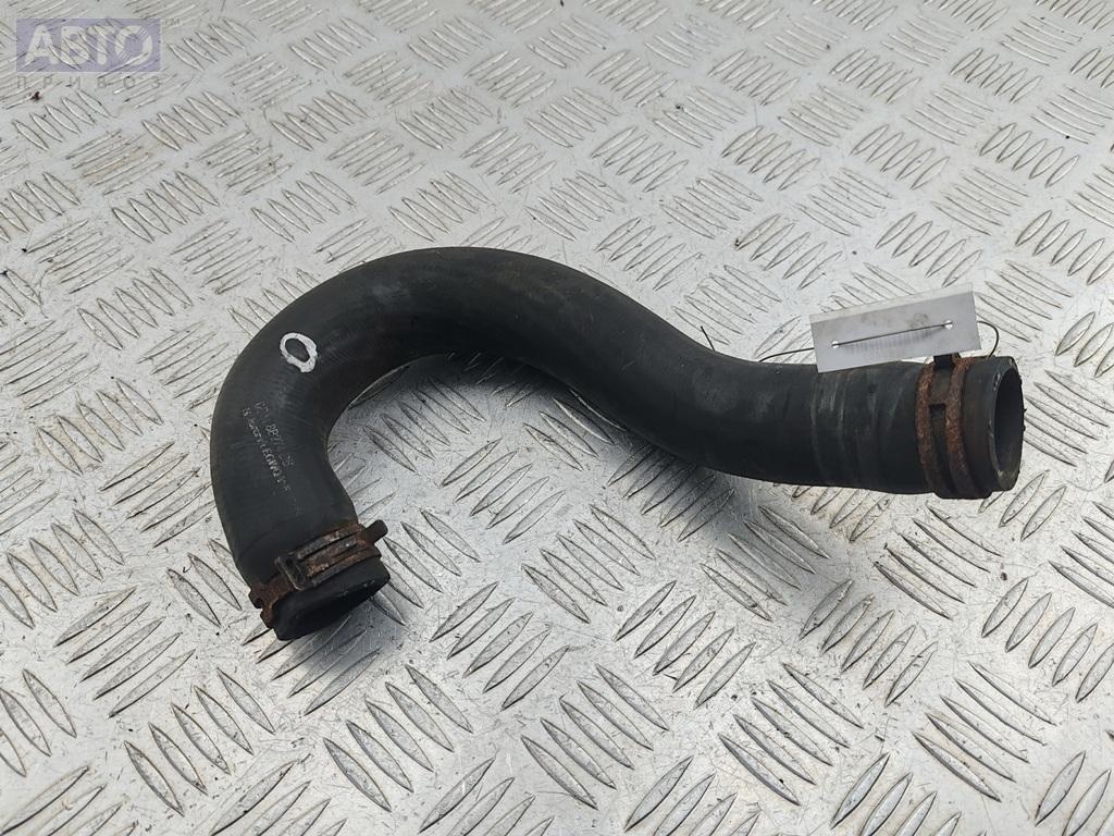 Патрубок радиатора к Ford Transit 2008