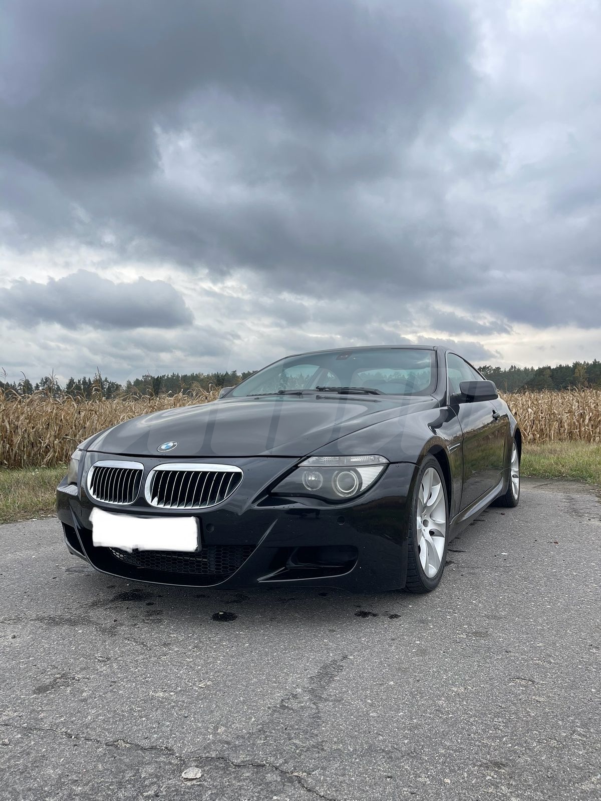 BMW 6 series II (E63/E64), 2004