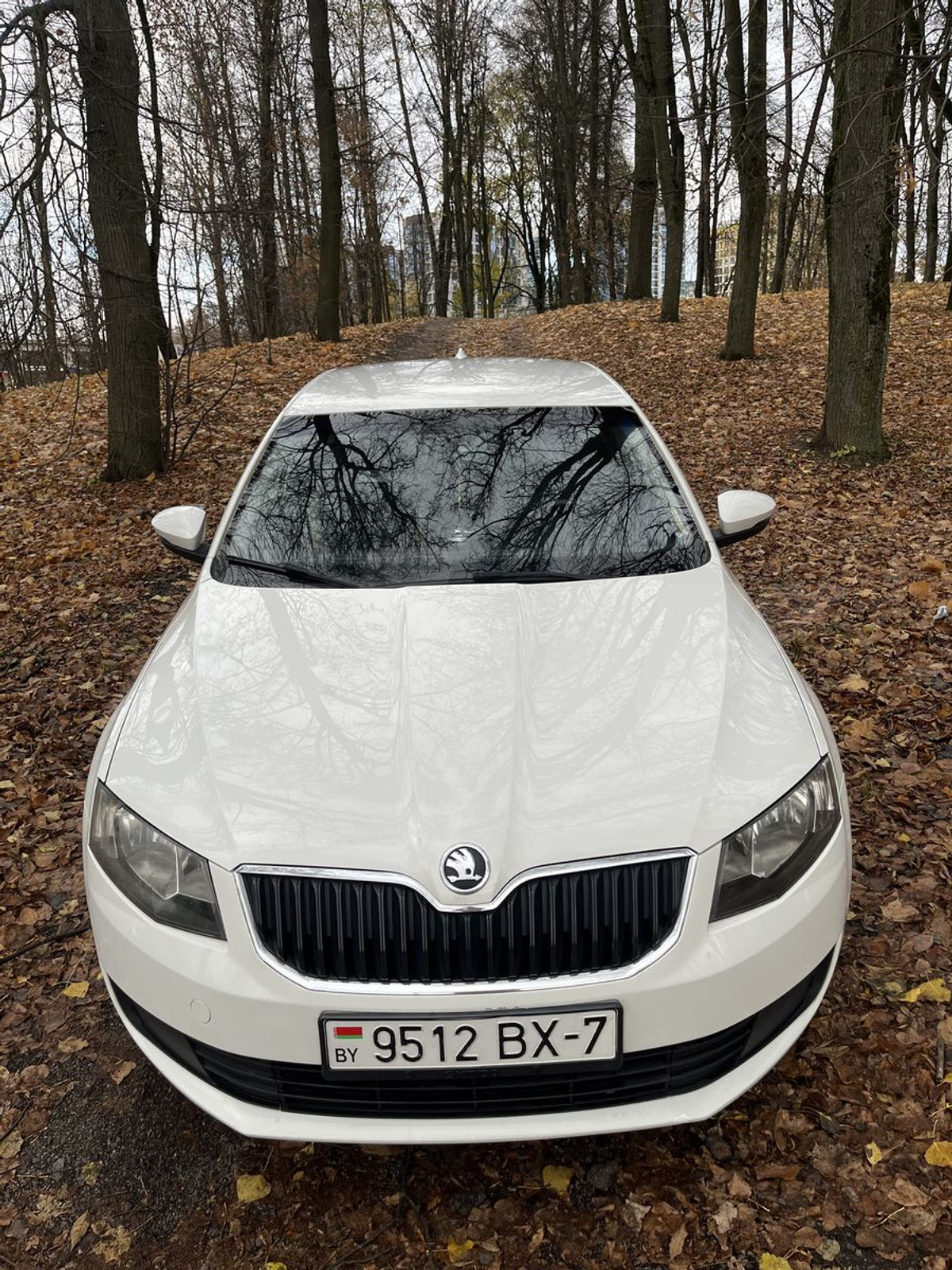 Skoda Octavia III (A7), 2015