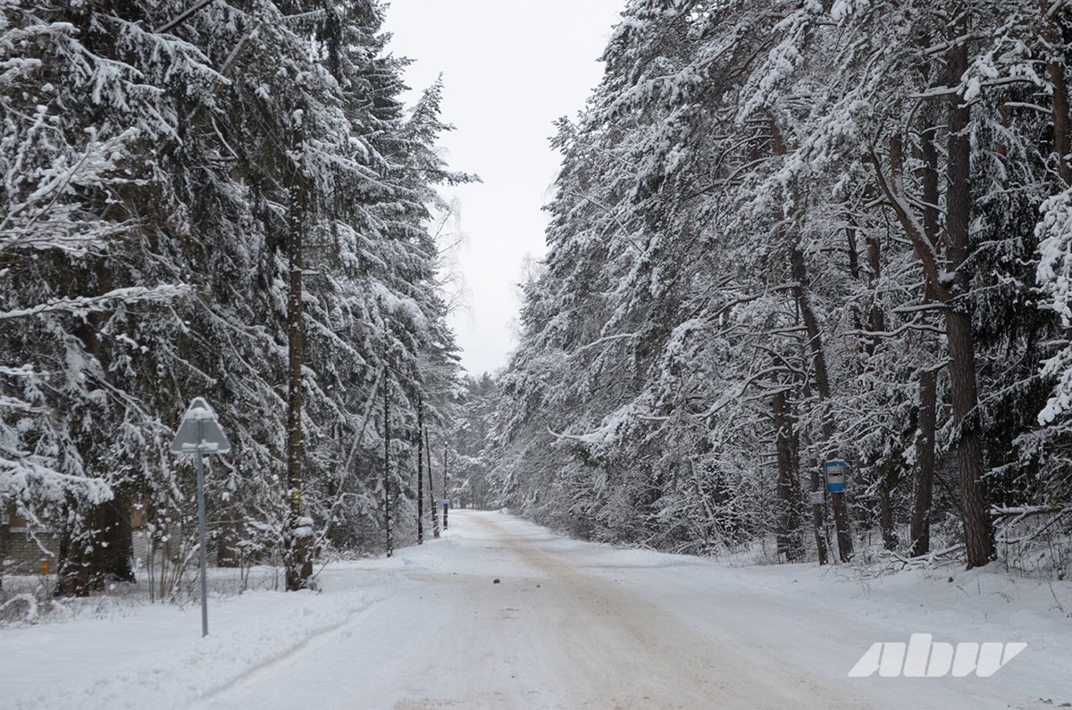 Без соли никак: чем будут посыпать дороги этой зимой