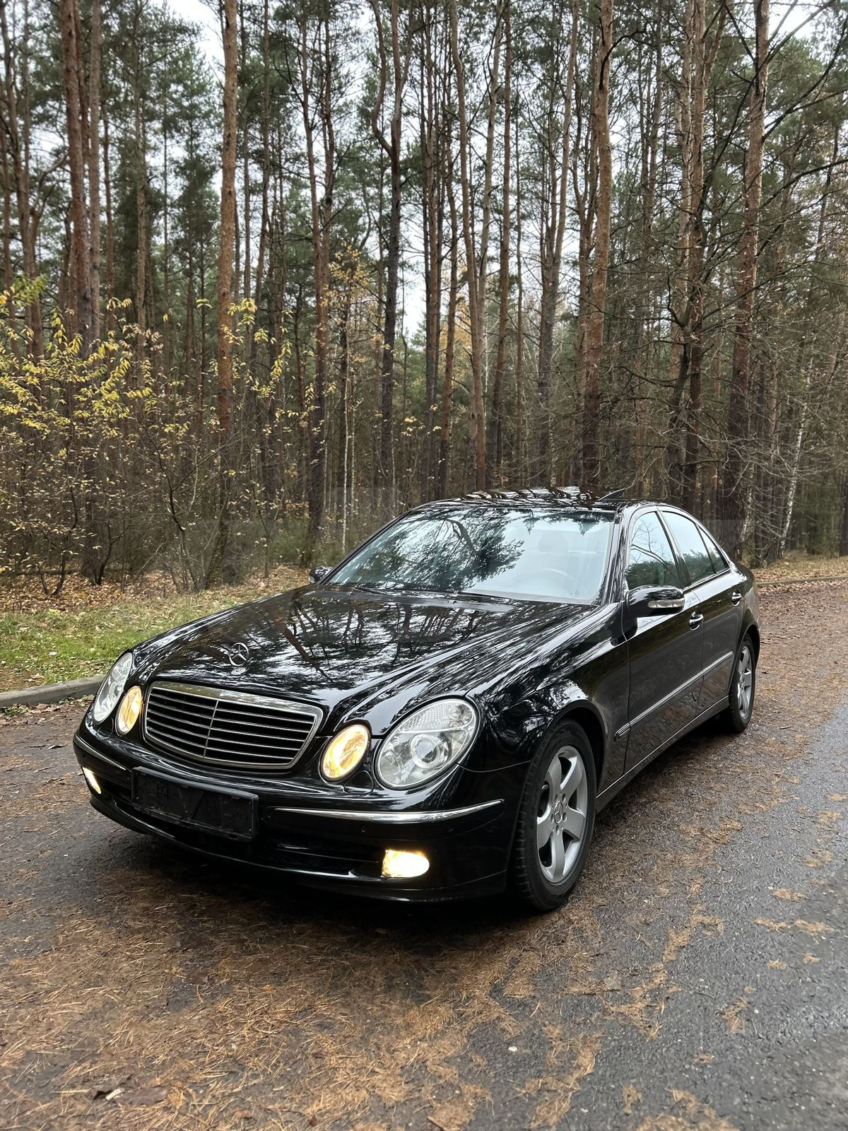 Mercedes-Benz E-klasse III (W211, S211), 2005