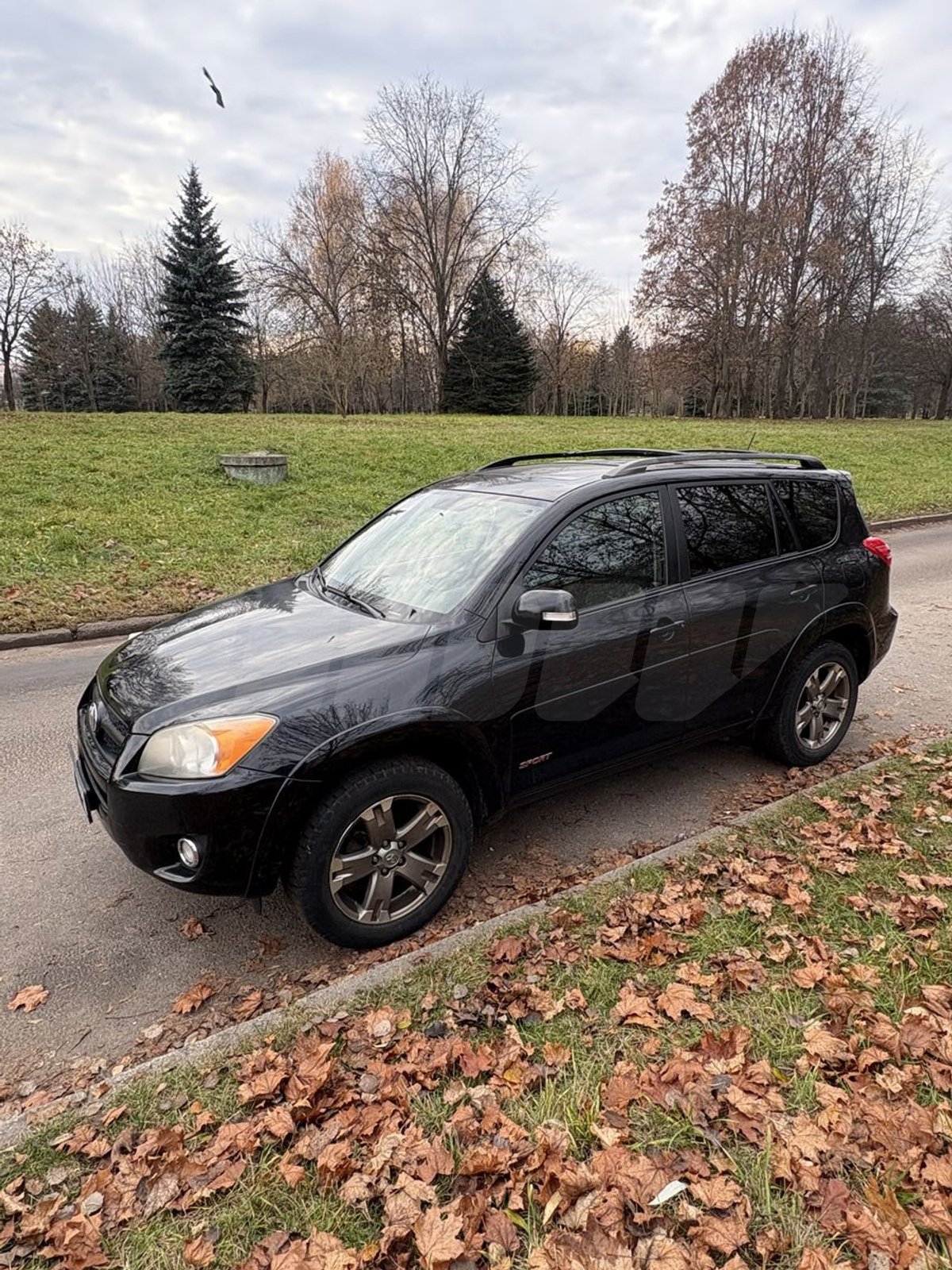 Toyota RAV 4 III (XA30) Рестайлинг, 2010