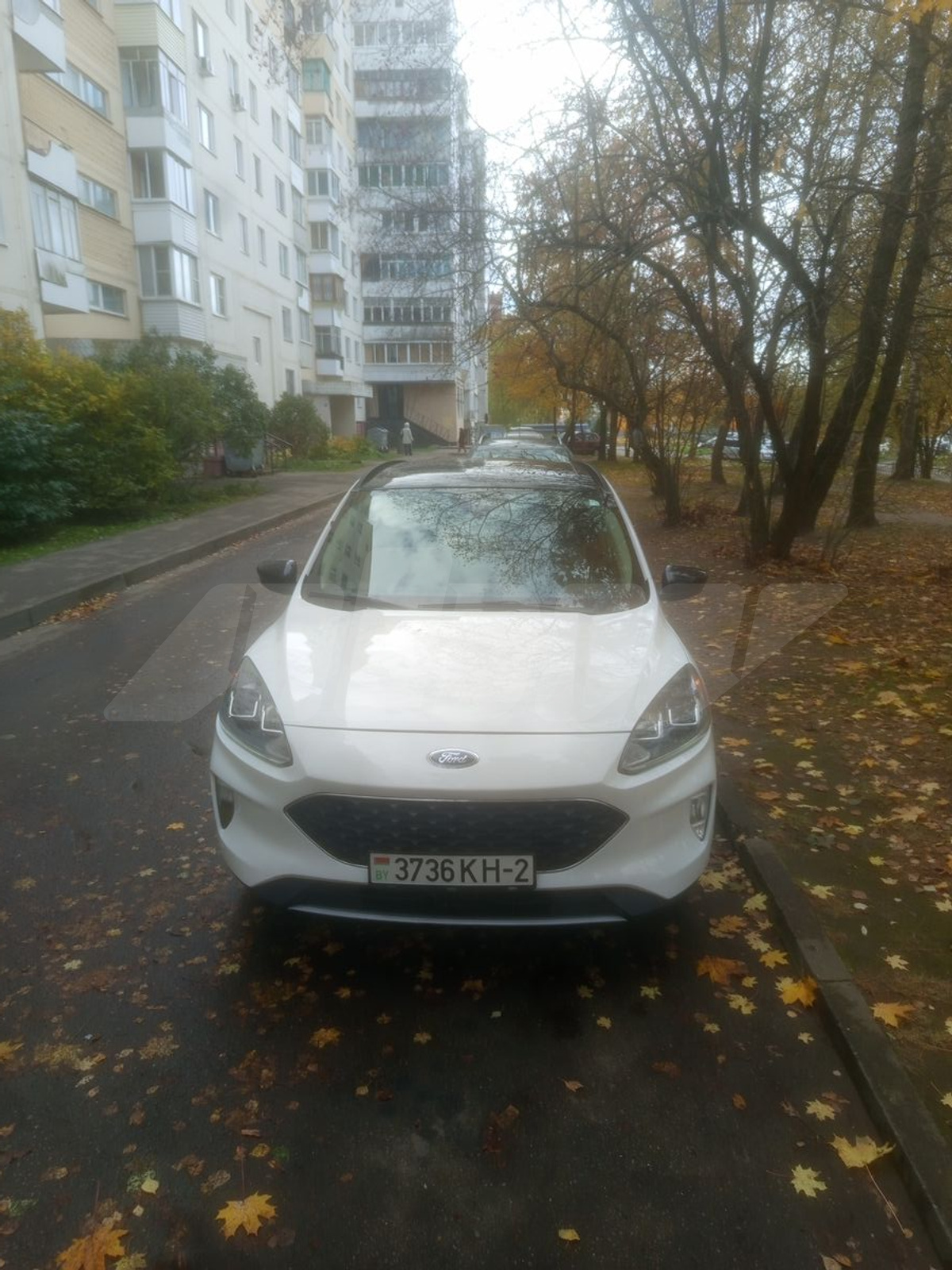 Ford Escape III Рестайлинг, 2020