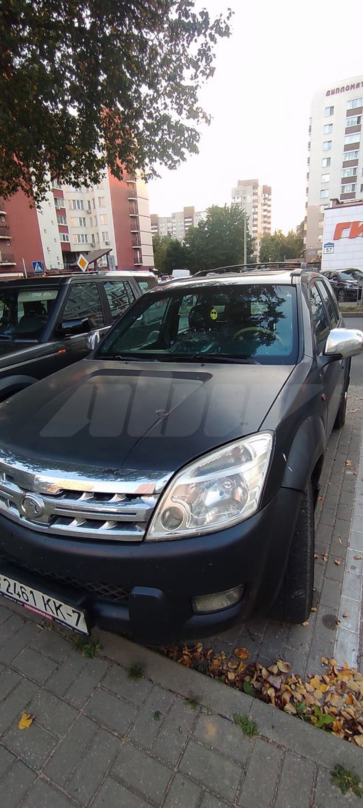 Great Wall Hover I, 2007