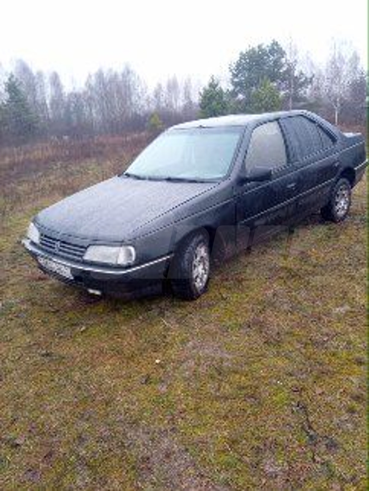 Peugeot 405 I, 1994