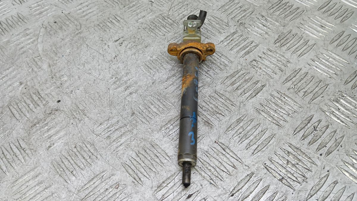 Форсунка к Peugeot 407 2007