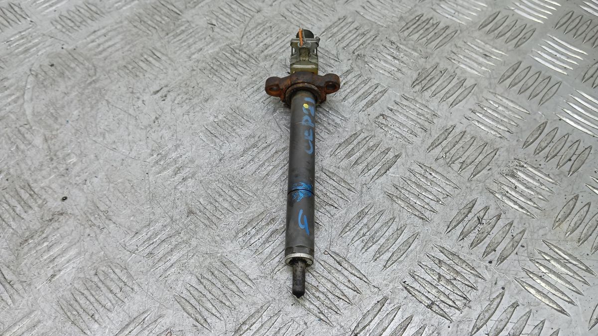 Форсунка к Peugeot 407 2007